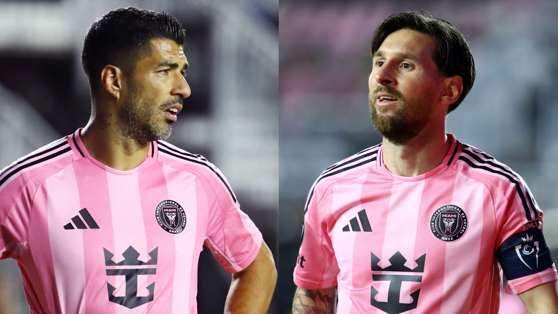 本文探讨了 本文探讨了